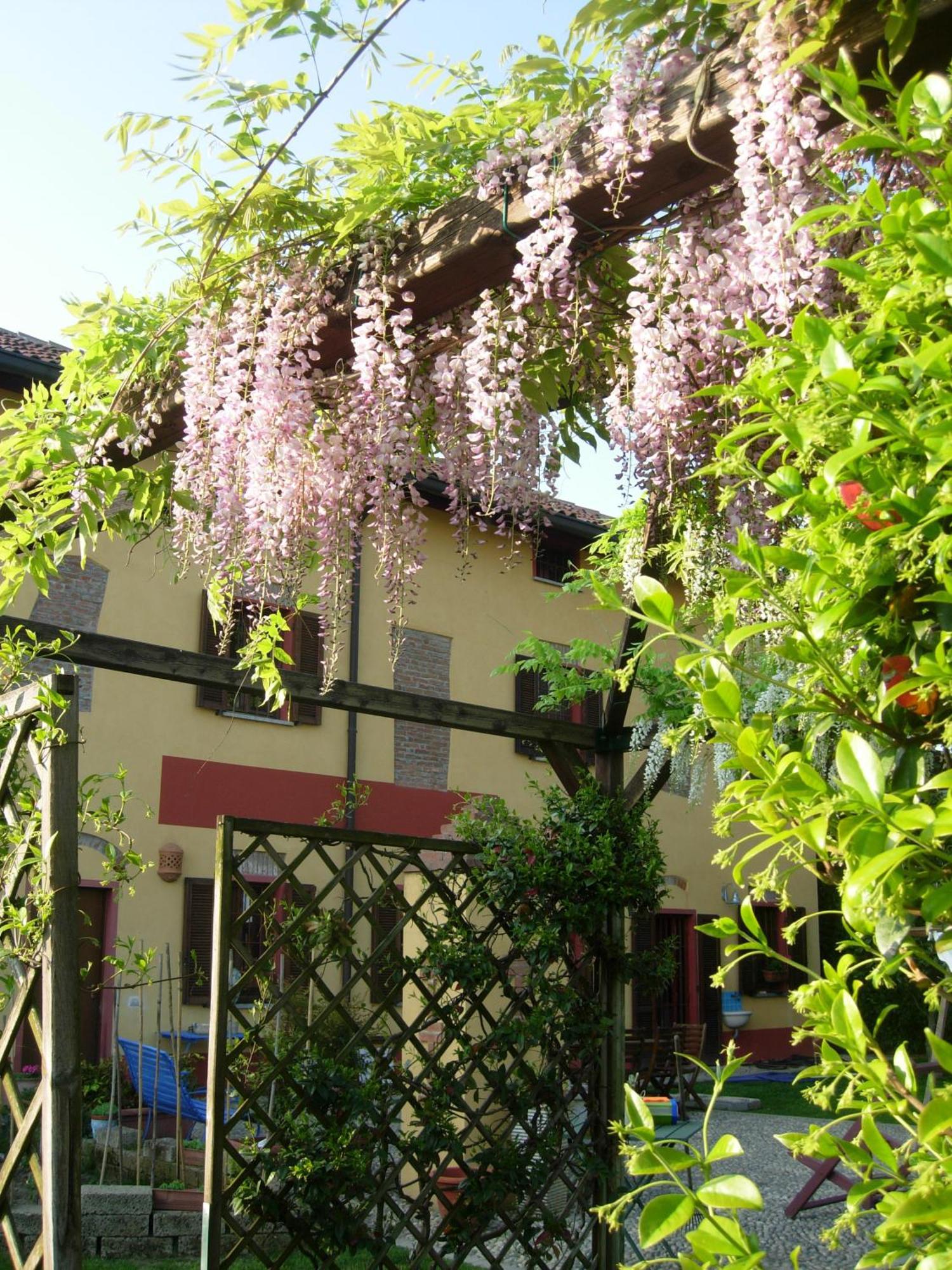 Castello d'Agogna B&B Il Pioppo E La Fonte מראה חיצוני תמונה