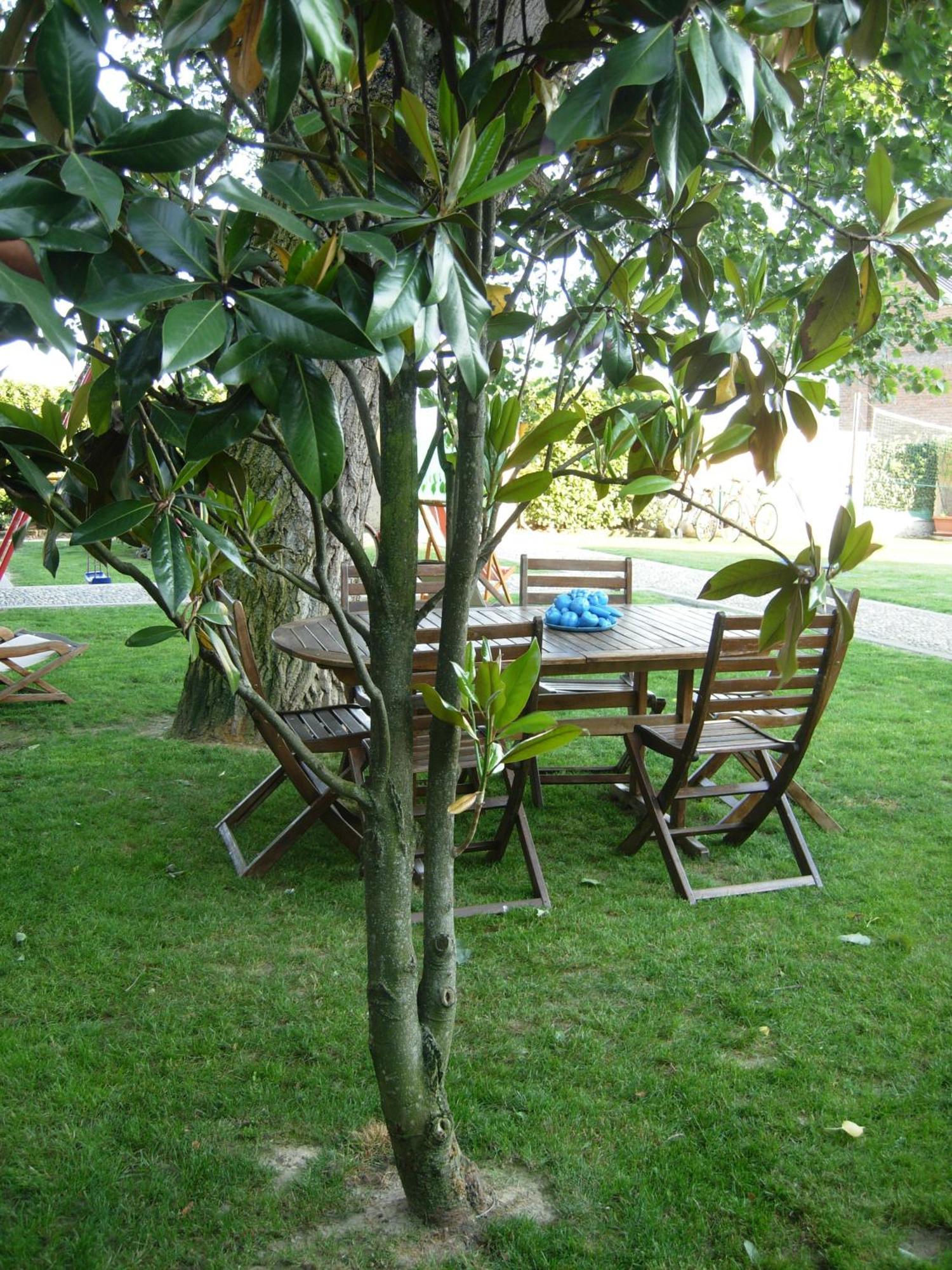 Castello d'Agogna B&B Il Pioppo E La Fonte מראה חיצוני תמונה
