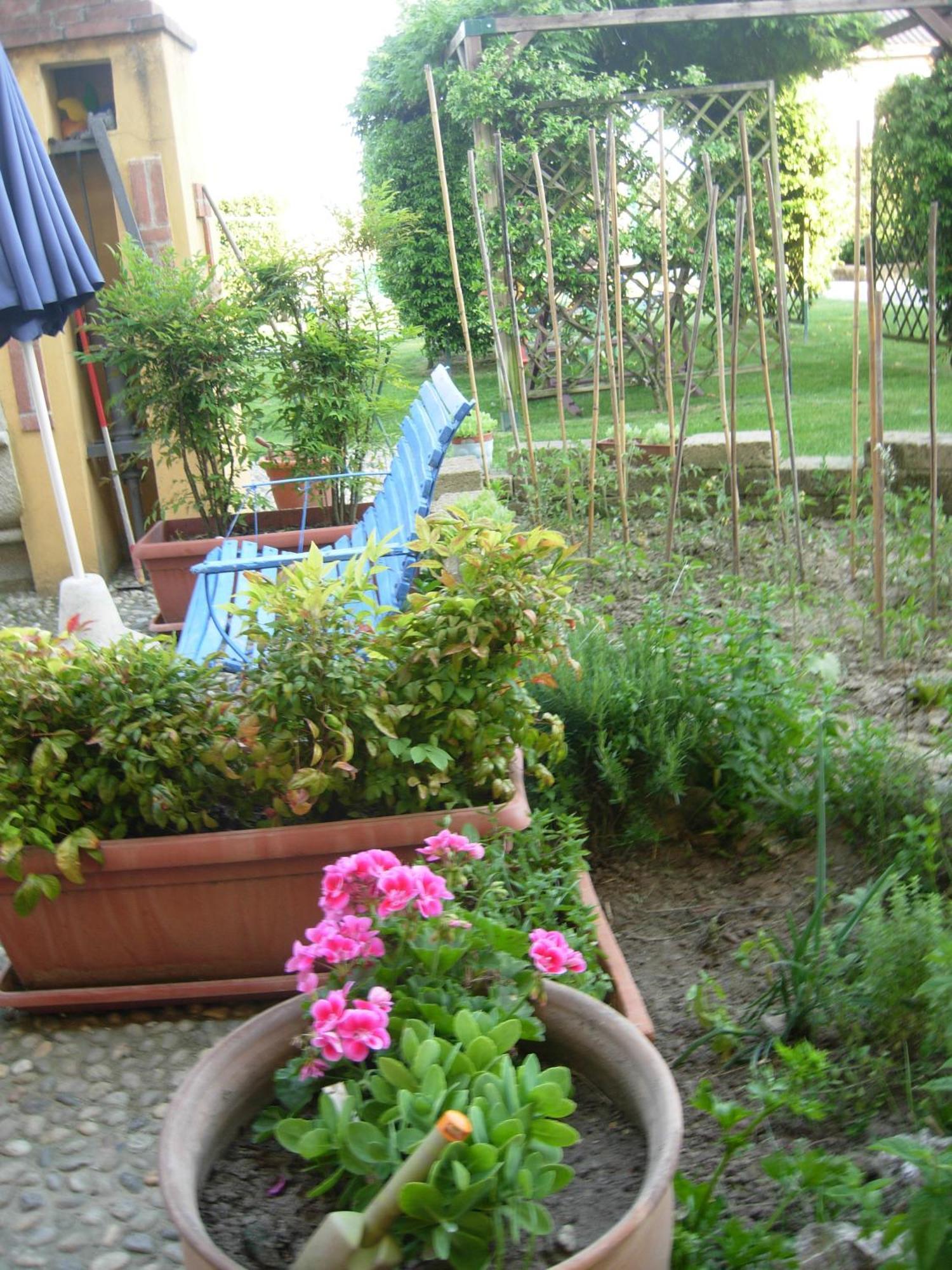 Castello d'Agogna B&B Il Pioppo E La Fonte מראה חיצוני תמונה