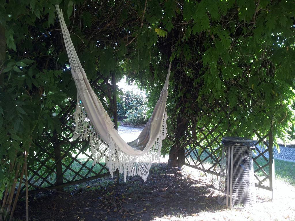 Castello d'Agogna B&B Il Pioppo E La Fonte מראה חיצוני תמונה